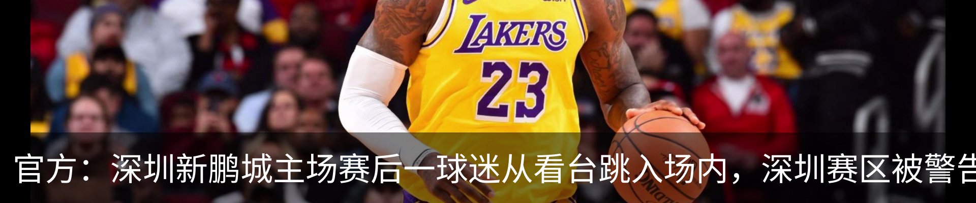 资讯动态