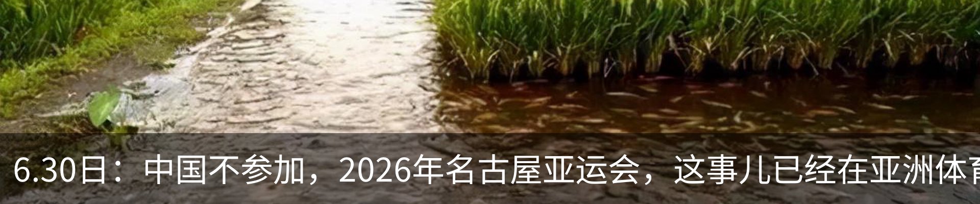 资讯动态